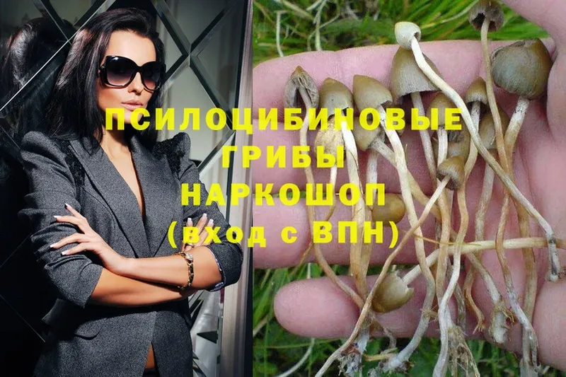 hydra зеркало  Стерлитамак  Галлюциногенные грибы Magic Shrooms  наркошоп 